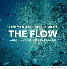 Only Dead Fish Go With The Flow Dead Fish Inspirational Quotes Life Quotes