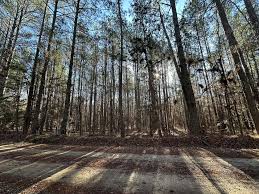 10 Acres of Land for Sale in Crawfordville, Georgia
