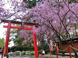 Auburn Botanic Gardens Botanical Gardens Japanese Garden Botanical Gardens Wedding