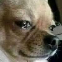 Otras niñas a mi edad // Yo...