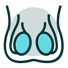 Ikegami y (1), kawai n, tozawa k, hayashi y, kohri k. Testicular Mesothelioma Causes Symptoms Prognosis Treatment