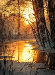 Forest Creek Beautiful Winter Morning Light Reflecting From The Surface Of Forest Creek In Katiskoski Hameenl Nature Photography Nature Beautiful Landscapes