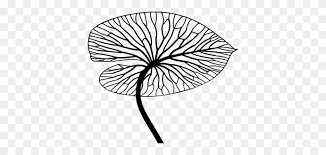 Landscape drawing black and white clipart. Landscape Black And White Drawing Art Landscaping Landscape Clipart Black And White Stunning Free Transparent Png Clipart Images Free Download