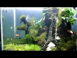 Apakah Anda Pernah Lihat Aquarium Yang Didalamnya Ada Air Terjun Mungkin Anda Akan Sangat Heran Kog Bisa Ada Air Terjun Didala Di 2020 Air Terjun Aquarium Kolam Ikan
