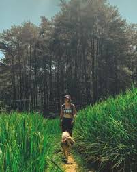  Wet Traveler Wettraveler Profile Pinterest