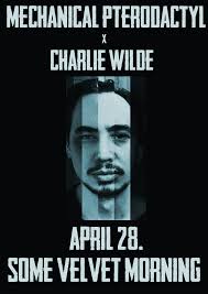 Mechanical Pterodactyl