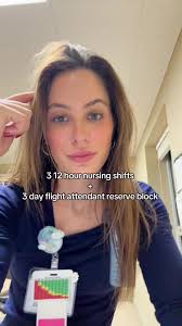 The Hannah Brie Flight Attendant