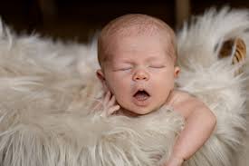 Cassie Cay Photography