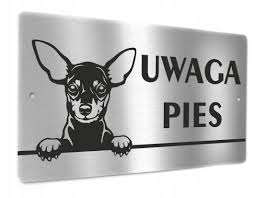 images?q=tbn:ANd9GcRs1-GvH7z8WOZYdALXX8x