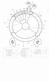 .cts engine diagram cadillac catera vacuum diagram caesar workbook answer key ap latin caida steve taylor c stephen murray answers c8 engine. The Cell Cycle Coloring Worksheet Cell Cycle Cells Worksheet Color Worksheets
