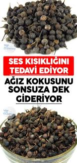 Ses Kisikligina Care Olan Baharat Natural Herbs Herbalism Herbal Medicine