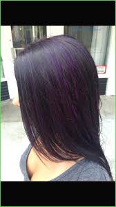 Black Hair Purple Highlights Best 25 Best Ideas About Purple Highlights On Pinterest Myhealthanchor Com Purple Hair Highlights Hair Styles Hair Highlights