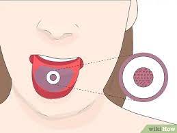 What makes a supertaster and how to know if you are one. Are You A Super Taster Take Our Quiz Plus How To Cope If You Are
