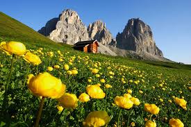The lifts and gondolas are running even in summer which might come. Val Di Fassa Card