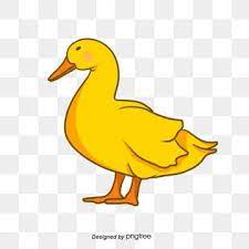 gambar bebek berbulu kuning clipart bebek satwa kartun png transparan clipart dan file psd untuk unduh gratis berbulu kartun ilustrasi vektor