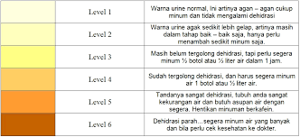 Urine yang berdarah, keruh, atau warna yang tidak biasa. Kenapa Urine Kita Sering Berubah Warna Sars Outlet