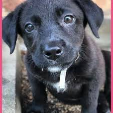 Pin On Text Tweet Facebook Instagram Share Help Them All