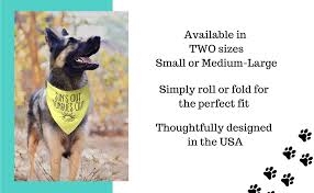 Looking at the video again, you can see the shadow of the trainer on the right, giving the signal for tongue out. Amazon Com Sun S Out Tongue Out Yellow Dog Bandana Funny Bandana Dog Scarf Pet Accessories For Dogs Puppies And Pets Pet Supplies