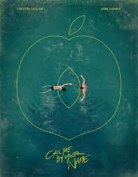 Call Me By Your Name Original Movie Poster Call Me By Your Name Alternative Movie Art Poster Complex Illustration Film Creative Your Name Movie Call Me Movie Posters