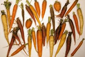 Bildergebnis für ancient carrots diversity image