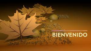 Autumn Church Welcome Video Progressive Church Media Welcome Gif Church Media Church
