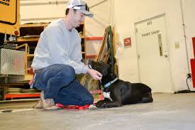 Maybe you would like to learn more about one of these? Shipping Or Picking Up A Live Animal Port Of Seattle