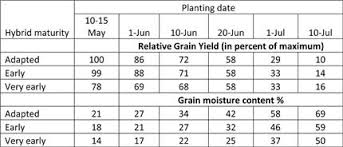 Corn Yield Predictions For Replanted And Late Planted Fields
