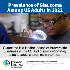 Truffles the Kitty (and owner) named Prevent Blindness Award Recipients