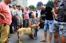 Festival de yulin en chine. Consommation De La Viande De Chien Le Festival De Yulin En Chine Provoque Un Tolle