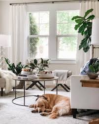 Popular home decor frame offices of good quality and at affordable prices you can buy on aliexpress. The Best Affordable Fake Plants For Your Home The Everygirl