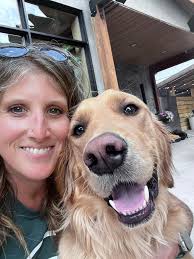 Introduction and photo of golden retriever