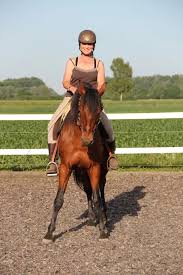 Aber mich intressiert kennt einer diese sättel oder hat erfahrungen? Christina Wunderlich Reitunterricht