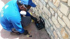 4.call dubai municipality pest control division to confirm. Licensed Pest Control Companies In Dubai Pest Control Uae