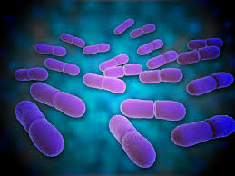 When should listeriosis be suspected? What Is Listeria Where S The Latest Outbreak What Are The Symptoms And Can I Die From Listeria