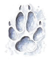 Wolf Footprint A Tattoo Idea Kurt