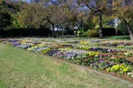 Green steel landscape edging (330) model# 814. Colmet Landscape Architect