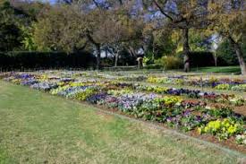 Metal landscape edging lowes for a new homeowner plans, the plants or simply to make. Colmet Landscape Architect