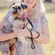 Vermont English Bulldog...