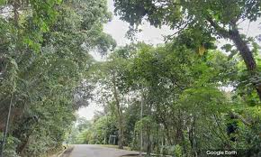 Perdana botanical gardens, federal hill, kuala lumpur, malaysia (3.14380 101.68482). Malaysiakini Letter Open Letter To Authorities Gazette Bukit Persekutuan