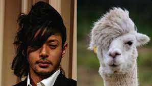 似ている 笑 動物の写真にそっくりだった有名人たち １１選 corobuzz 爆笑画像 笑える写真 笑える顔