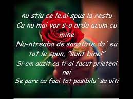Cat de bine suna numele nostru impreuna. Maximilian Dragoste Nebuna Lyrics Youtube