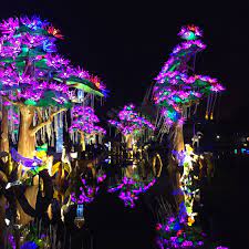 Dubai Garden Glow Dubai Dubai Garden Botanical Gardens Near Me Organic Vegetable Garden