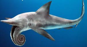 Goblin shark caught in gulf of mexico a rarity | adventure sports network. 10 Weirdest Sharks In The World And Top 5 Weirdest Extinct Sharks Sharkwater Extinction