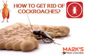Pretty soon your house will be filled with dead cockroaches! How To Get Rid Of Cockroaches Diy To Kill Roaches Marks Pest Control