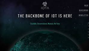 buying iota miota quick safe and cheap our experiences