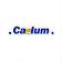 Caelum Research Corporation logo