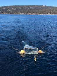 The rich environment influences the majority of tahoe's attractions: Microplastic Clean Up Research Continues At Lake Tahoe Tahoedailytribune Com