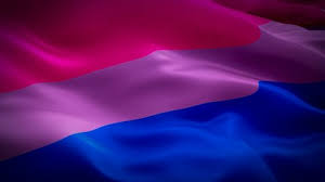 Maybe you would like to learn more about one of these? Bi Pride Flag Stock Video Footage 4k And Hd Video Clips Shutterstock