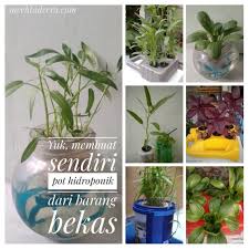 Pakej diy hidroponik serendah rm45 shj. Yuk Membuat Sendiri Pot Hidroponik Dari Barang Bekas Lalang Ungu
