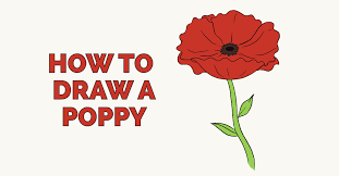 How To Draw A Poppy Really Easy Drawing Tutorial Poppy Flower Painting Drawing Tutorial Easy Poppy Drawing